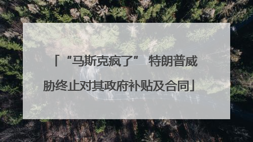“马斯克疯了” 特朗普威胁终止对其政府补贴及合同