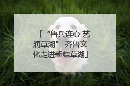 “鲁兵连心 艺润草湖” 齐鲁文化走进新疆草湖