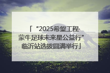 “2025希望工程·蒙牛足球未来星公益行”临沂站选拔圆满举行