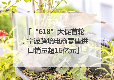 “618”大促首轮，宁波跨境电商零售进口销量超16亿元
