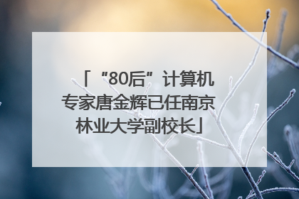 “80后”计算机专家唐金辉已任南京林业大学副校长