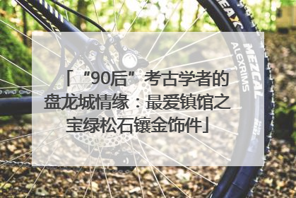 “90后”考古学者的盘龙城情缘：最爱镇馆之宝绿松石镶金饰件