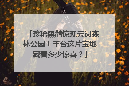 珍稀黑鹳惊现云岗森林公园！丰台这片宝地藏着多少惊喜？
