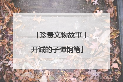珍贵文物故事丨开诚的子弹钢笔
