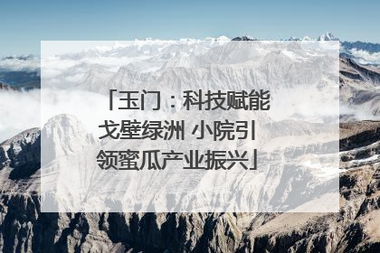 玉门：科技赋能戈壁绿洲 小院引领蜜瓜产业振兴