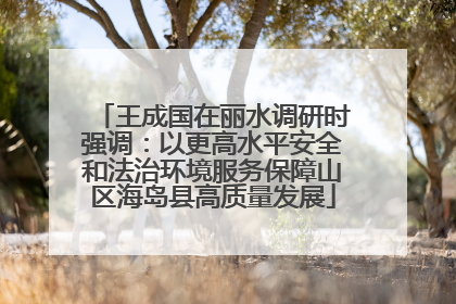 王成国在丽水调研时强调：以更高水平安全和法治环境服务保障山区海岛县高质量发展