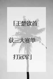 王楚钦首获三大赛单打冠军
