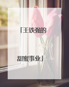 王铁强的甜蜜事业