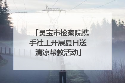 灵宝市检察院携手社工开展夏日送清凉帮教活动
