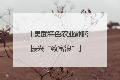 灵武特色农业翻腾振兴“致富浪”