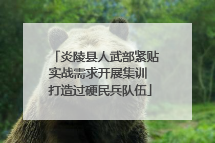 炎陵县人武部紧贴实战需求开展集训 打造过硬民兵队伍