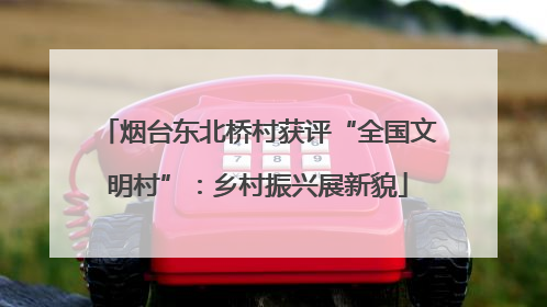 烟台东北桥村获评“全国文明村”：乡村振兴展新貌