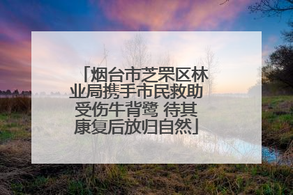 烟台市芝罘区林业局携手市民救助受伤牛背鹭 待其康复后放归自然