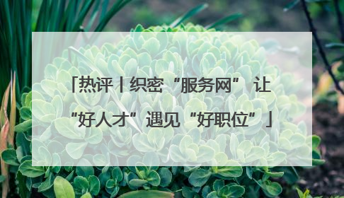 热评丨织密“服务网” 让“好人才”遇见“好职位”