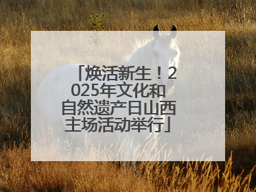 焕活新生！2025年文化和自然遗产日山西主场活动举行