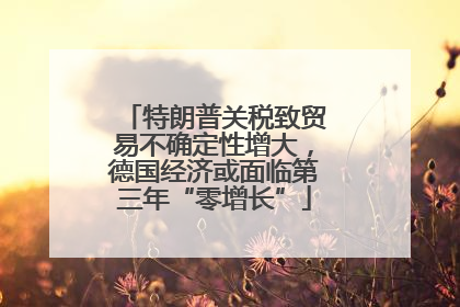 特朗普关税致贸易不确定性增大，德国经济或面临第三年“零增长”