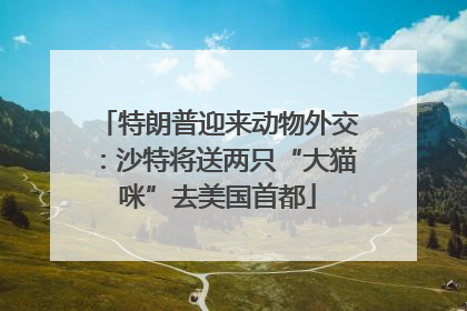 特朗普迎来动物外交：沙特将送两只“大猫咪”去美国首都