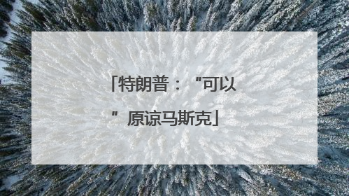 特朗普：“可以”原谅马斯克