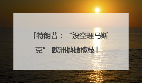 特朗普：“没空理马斯克” 欧洲抛橄榄枝