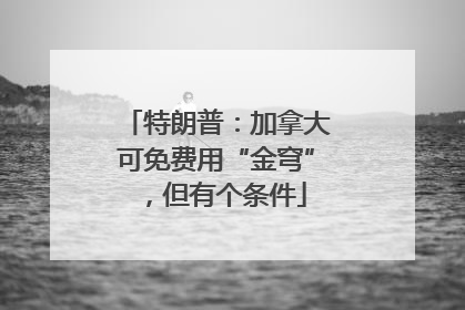 特朗普：加拿大可免费用“金穹”，但有个条件