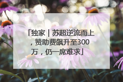 独家｜苏超逆流而上，赞助费飙升至300万，仍一席难求