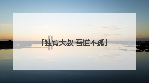 独臂大叔 吾道不孤