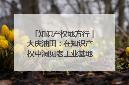 知识产权地方行｜大庆油田：在知识产权中洞见老工业基地的 “创新密码”