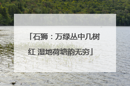 石狮：万绿丛中几树红 湿地荷塘韵无穷