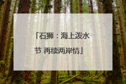 石狮：海上泼水节 再续两岸情