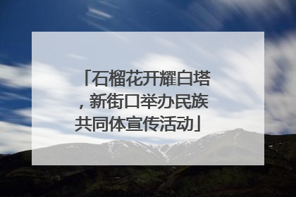 石榴花开耀白塔，新街口举办民族共同体宣传活动