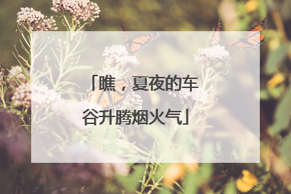 瞧，夏夜的车谷升腾烟火气