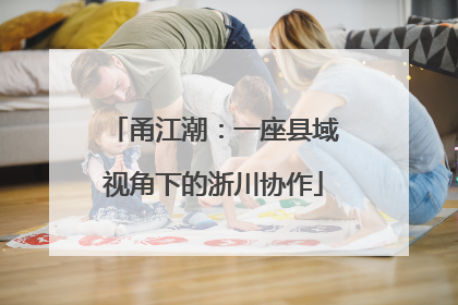 甬江潮：一座县域视角下的浙川协作