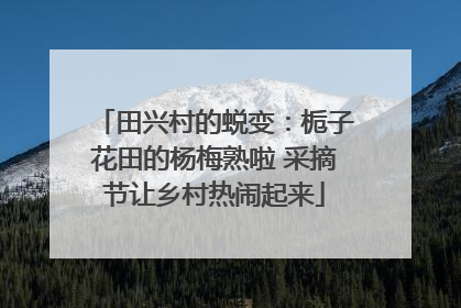 田兴村的蜕变：栀子花田的杨梅熟啦 采摘节让乡村热闹起来