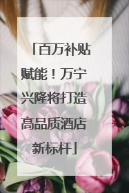 百万补贴赋能！万宁兴隆将打造高品质酒店新标杆