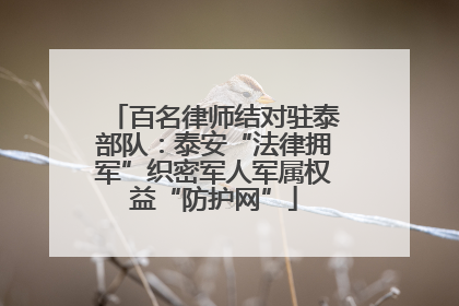 百名律师结对驻泰部队：泰安“法律拥军”织密军人军属权益“防护网”