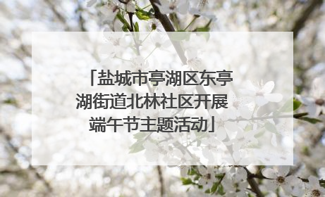 盐城市亭湖区东亭湖街道北林社区开展端午节主题活动