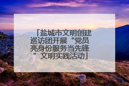 盐城市文明创建巡访团开展“党员亮身份服务当先锋”文明实践活动