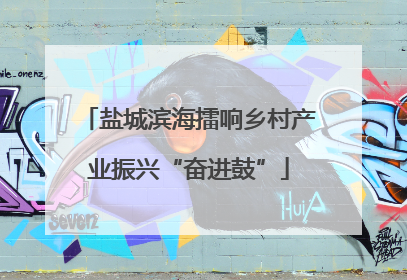 盐城滨海擂响乡村产业振兴“奋进鼓”