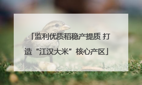 监利优质稻稳产提质 打造“江汉大米”核心产区