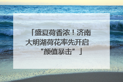 盛夏荷香浓！济南大明湖荷花率先开启“颜值暴击”