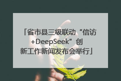 省市县三级联动“信访+DeepSeek”创新工作新闻发布会举行