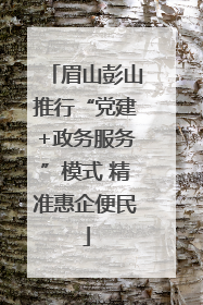 眉山彭山推行“党建+政务服务”模式 精准惠企便民