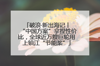 破浪·新出海记丨 “中国方案”拿捏性价比，全球近万艘巨轮用上镇江“节能桨”