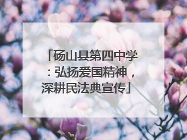 砀山县第四中学：弘扬爱国精神，深耕民法典宣传