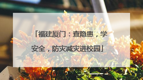 福建厦门：查隐患，学安全，防灾减灾进校园