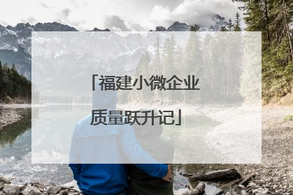 福建小微企业质量跃升记