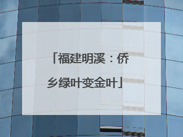 福建明溪：侨乡绿叶变金叶