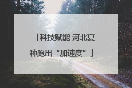 科技赋能 河北夏种跑出“加速度”