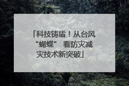 科技铸盾！从台风“蝴蝶” 看防灾减灾技术新突破