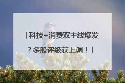 科技+消费双主线爆发？多股评级获上调！